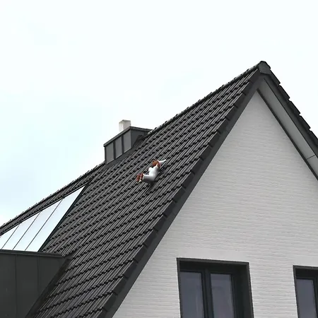 Haus Steilufer Ferienwohnung Nr 02 * Lubeck
